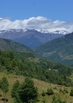 P1020789