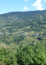 P1020790