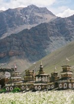 dolpo1