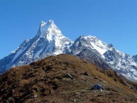mardi hima image